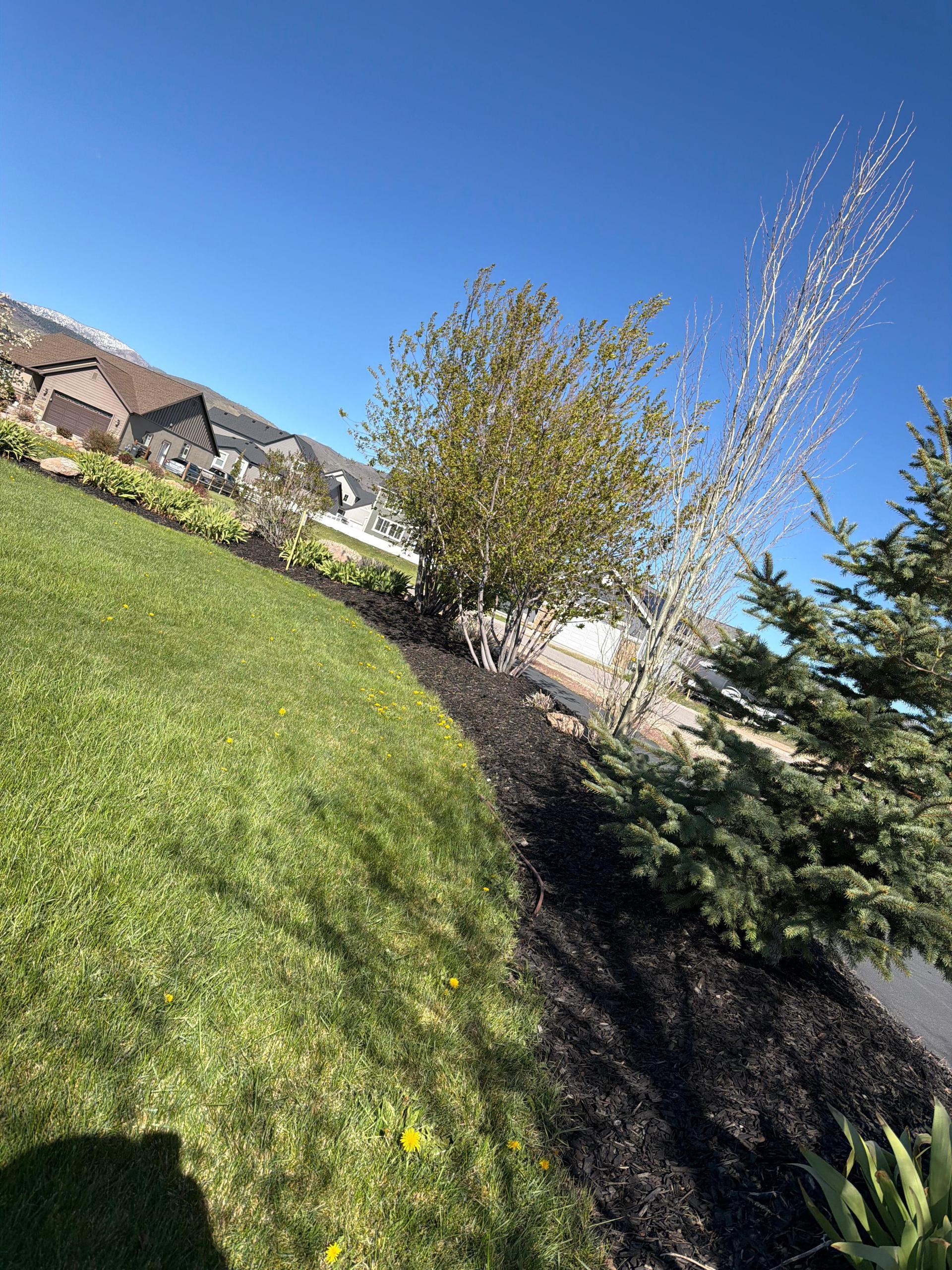 Green Scene Landscaping project photo 013
