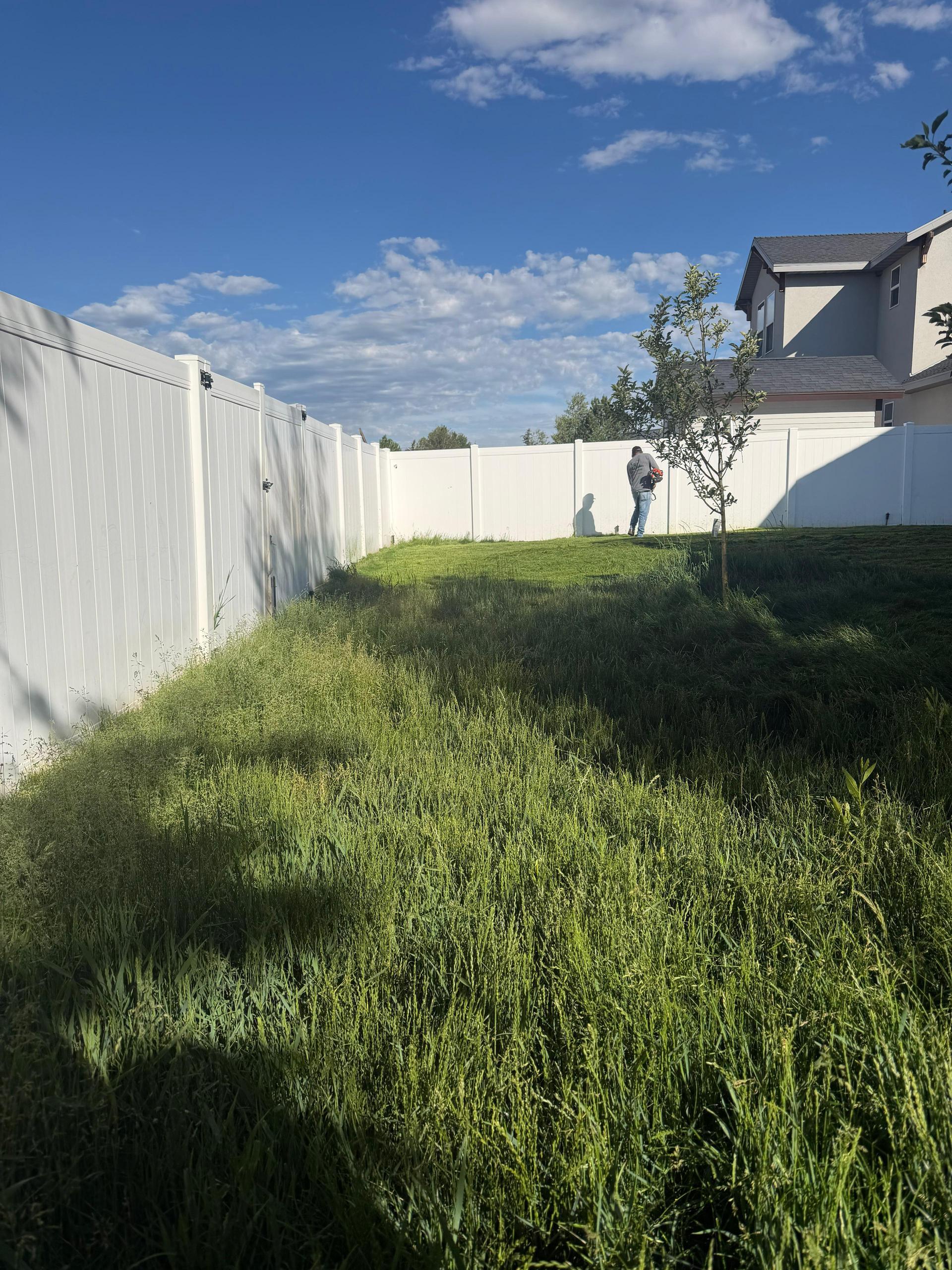 Green Scene Landscaping project photo 020