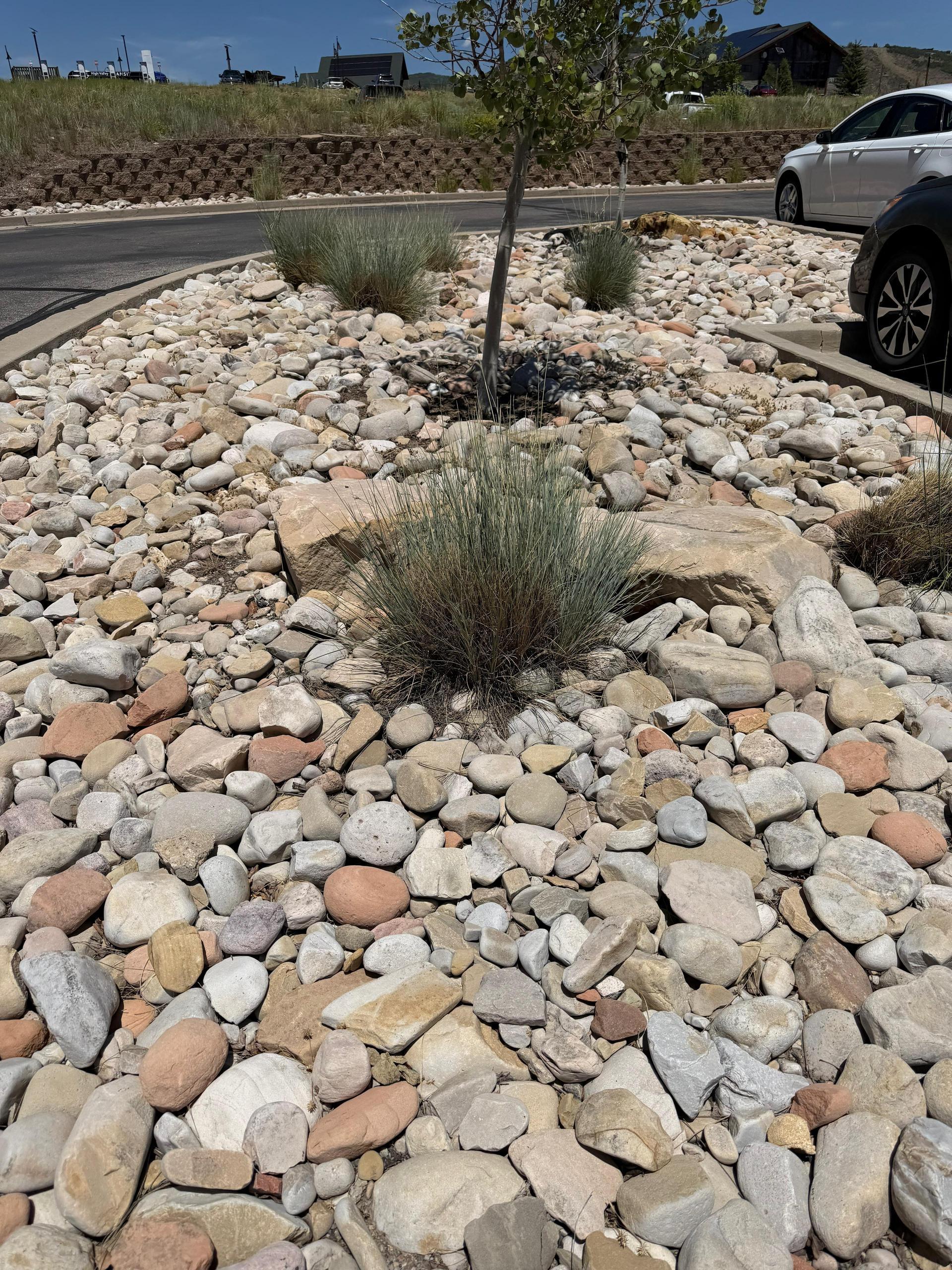Green Scene Landscaping project photo 022
