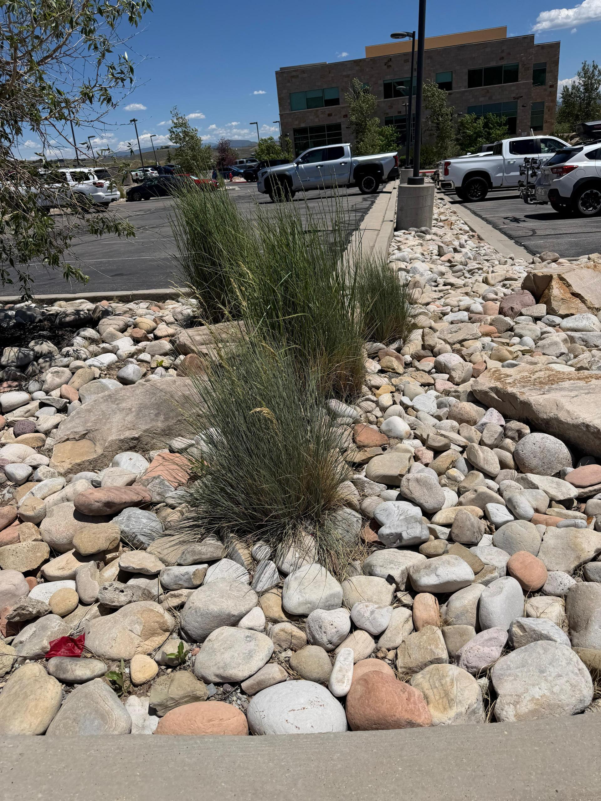Green Scene Landscaping project photo 028