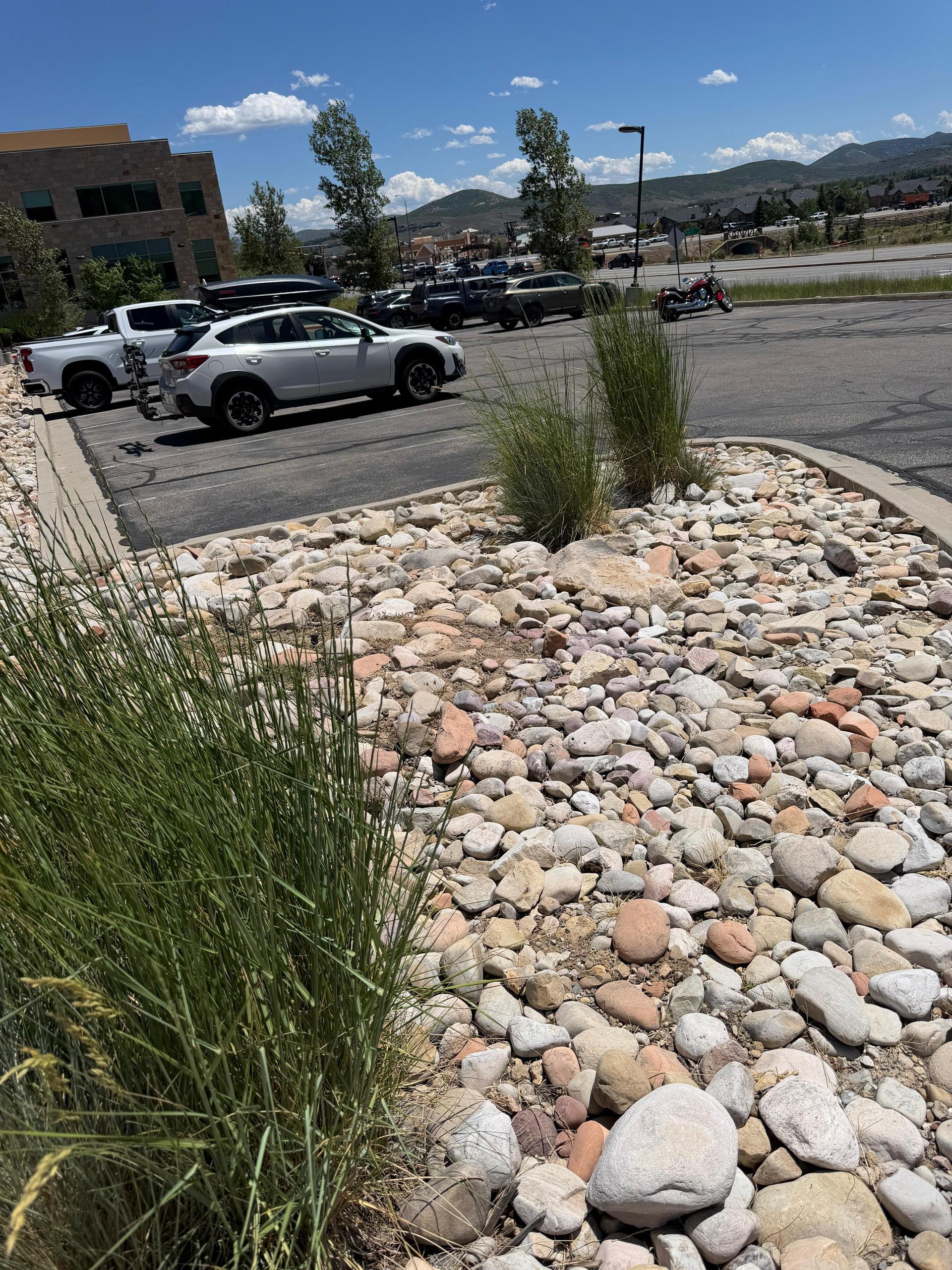 Green Scene Landscaping project photo 029