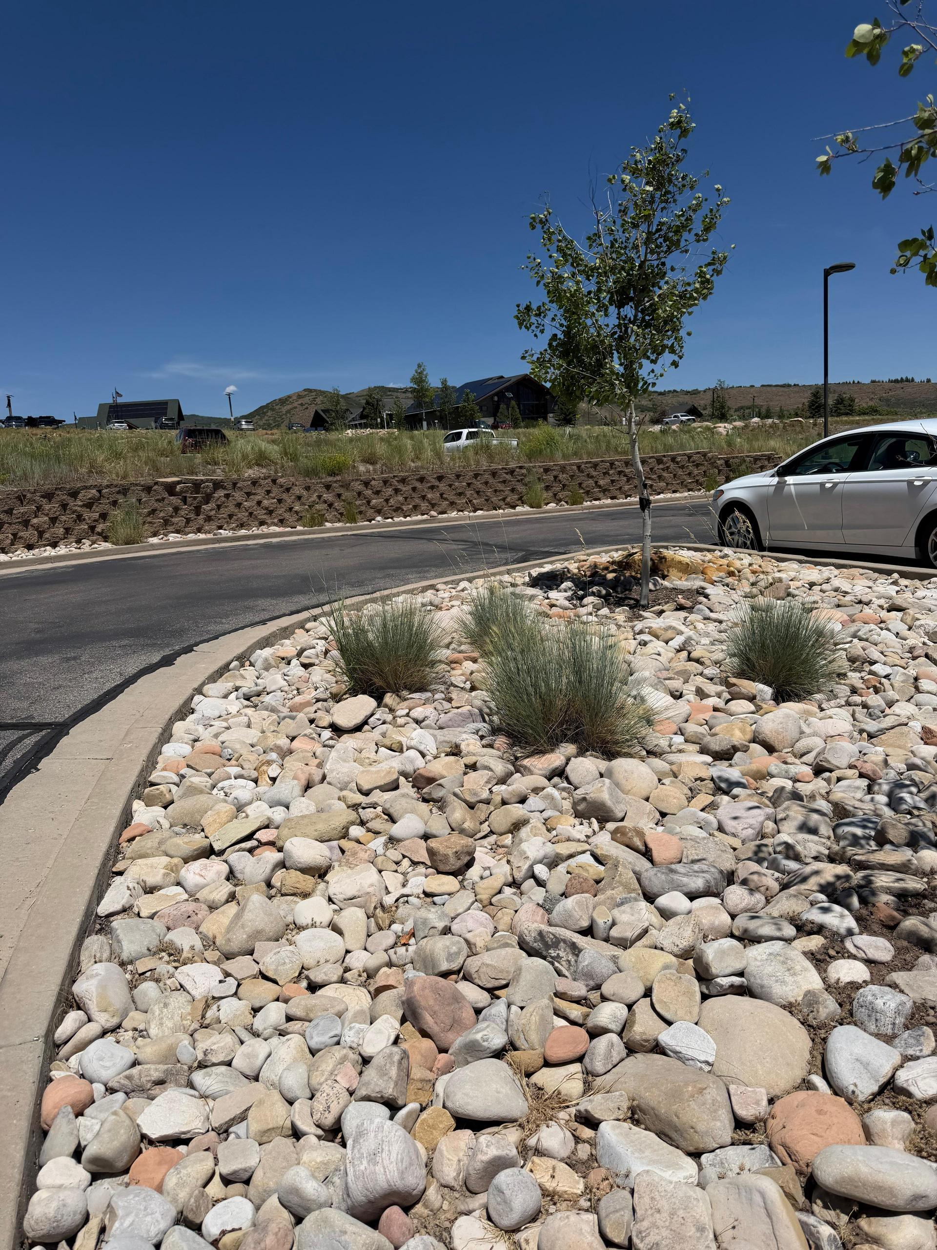 Green Scene Landscaping project photo 036