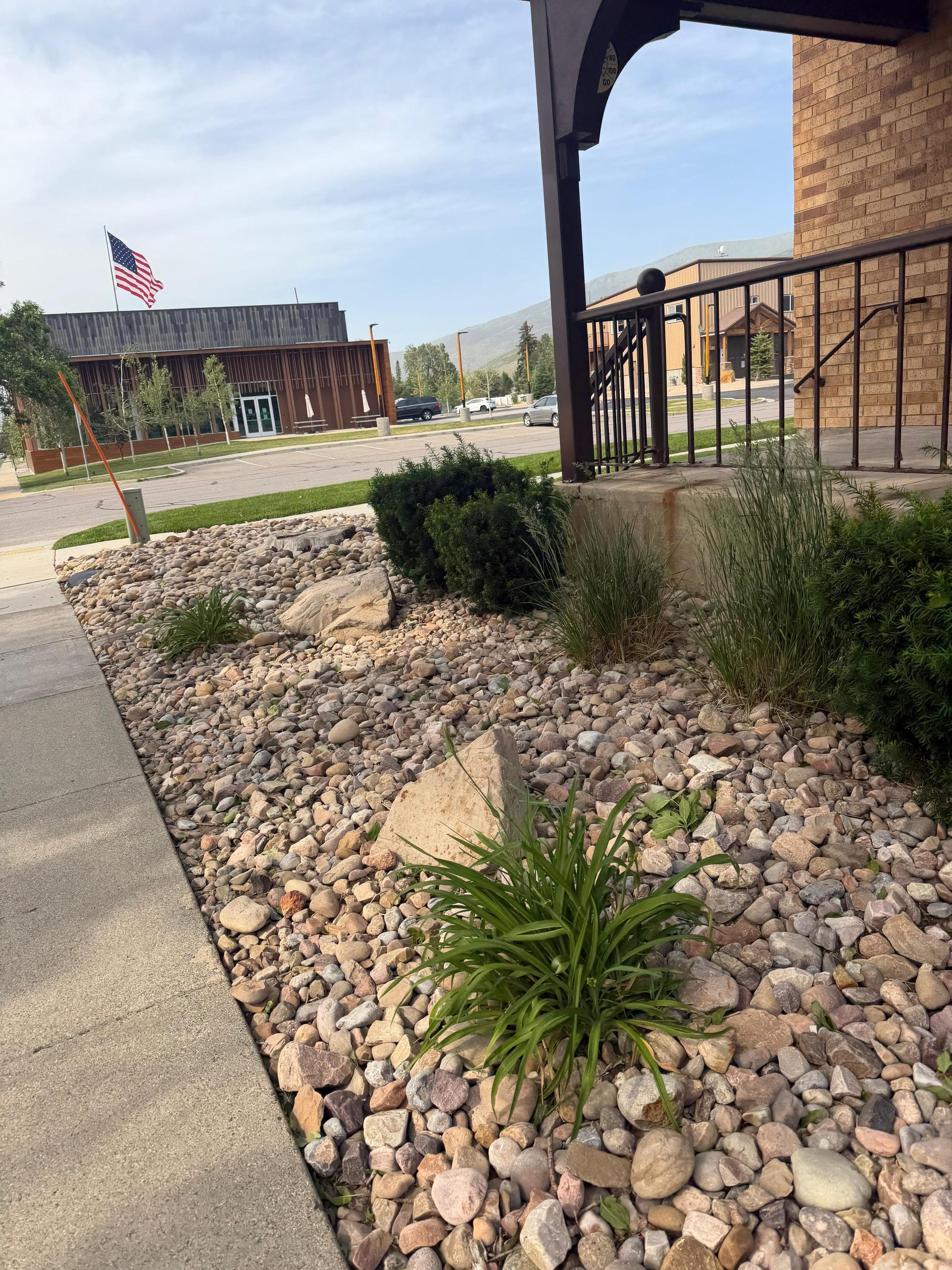 Green Scene Landscaping project photo 037