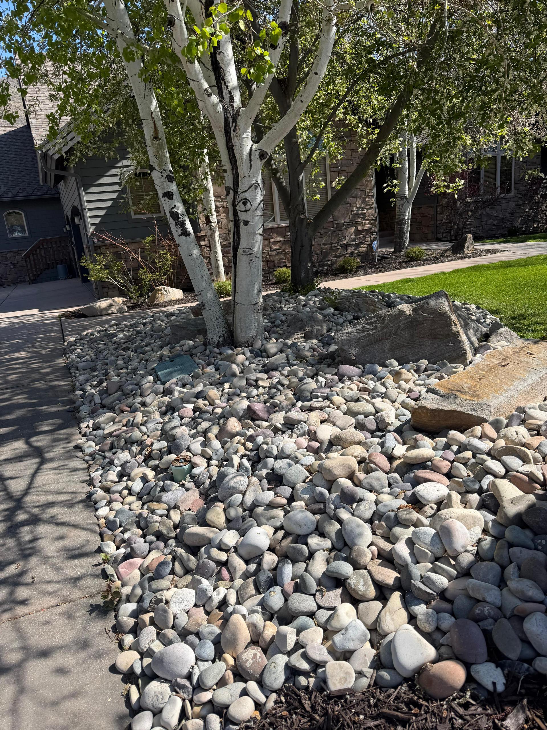 Green Scene Landscaping project photo 038